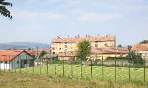 salistea
